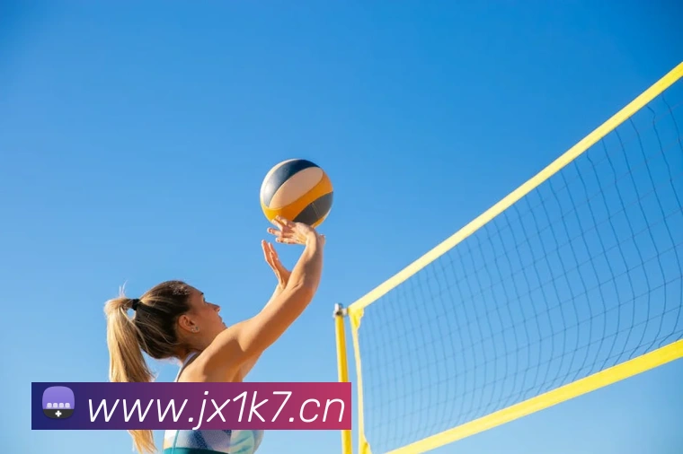 九游网页版入口网址发展历程